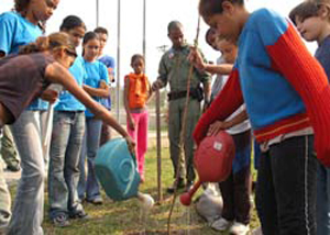 Escola Ambiental na Praia Grande